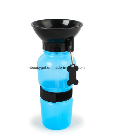 rabbit water fountain