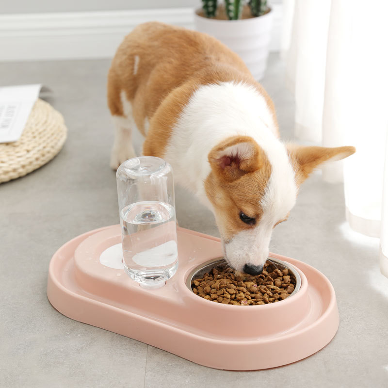 water dispenser with dog bowl